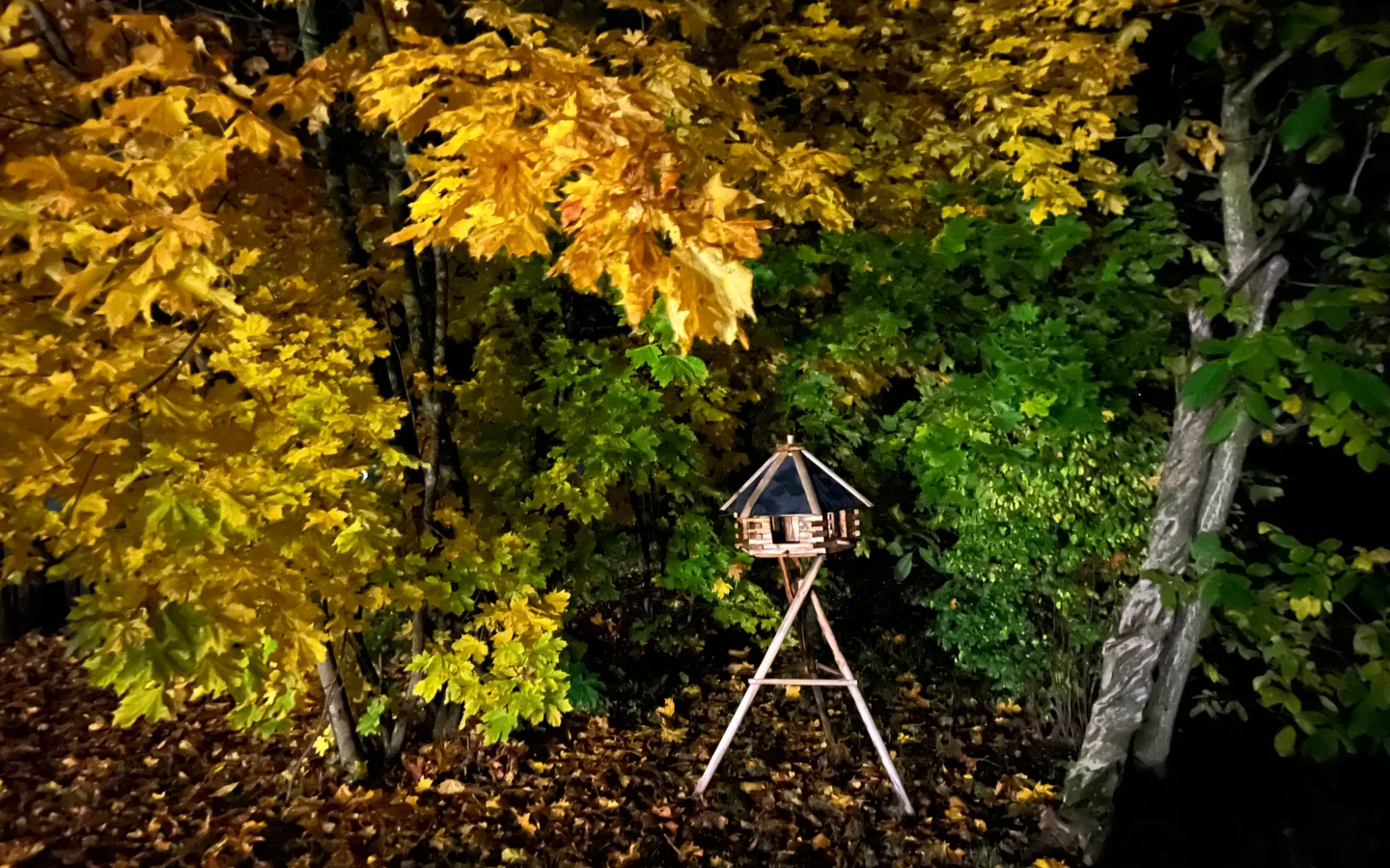 Jesienne Kuraszewo.