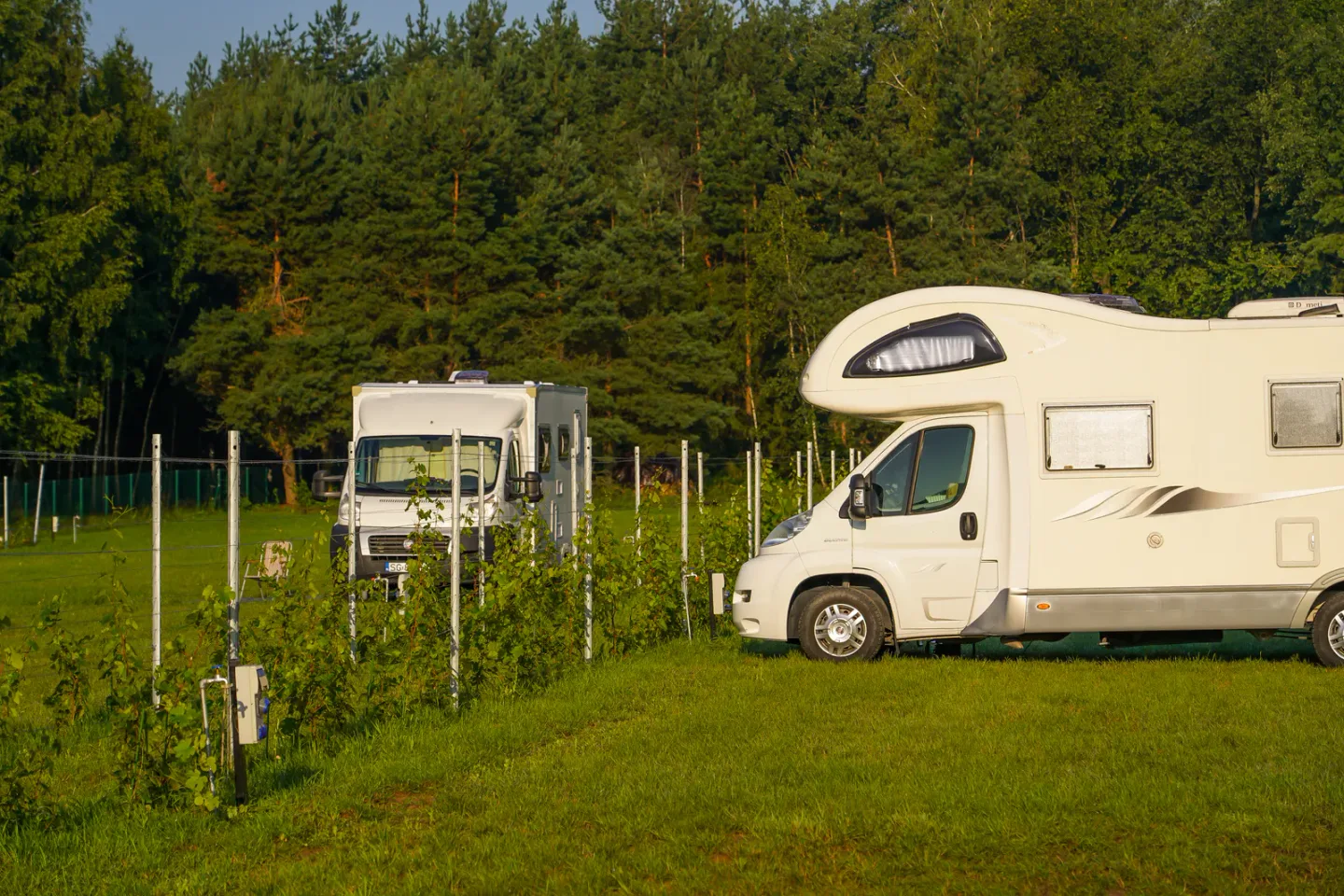 Miejsca campingowe w Kuraszewie.