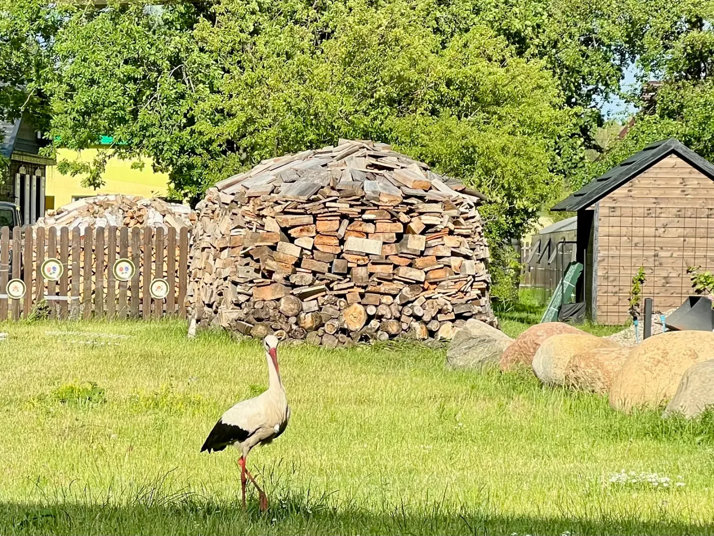Kontakt z Kuraszewem.