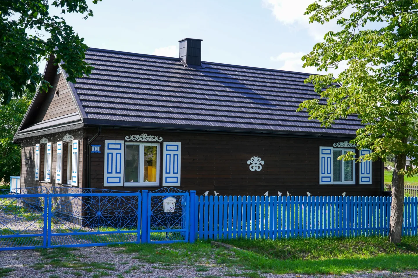 Teren i natura wokół kempingu w Kuraszewie.